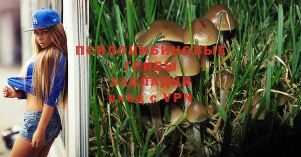гашишное масло Гусев