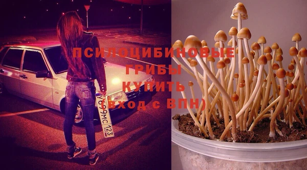 мефедрон Гусиноозёрск